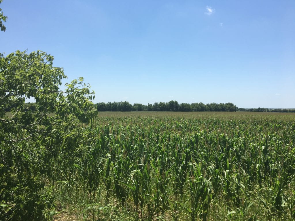 SC Large Land Acreage Tracts For Sale James Schiller Team
