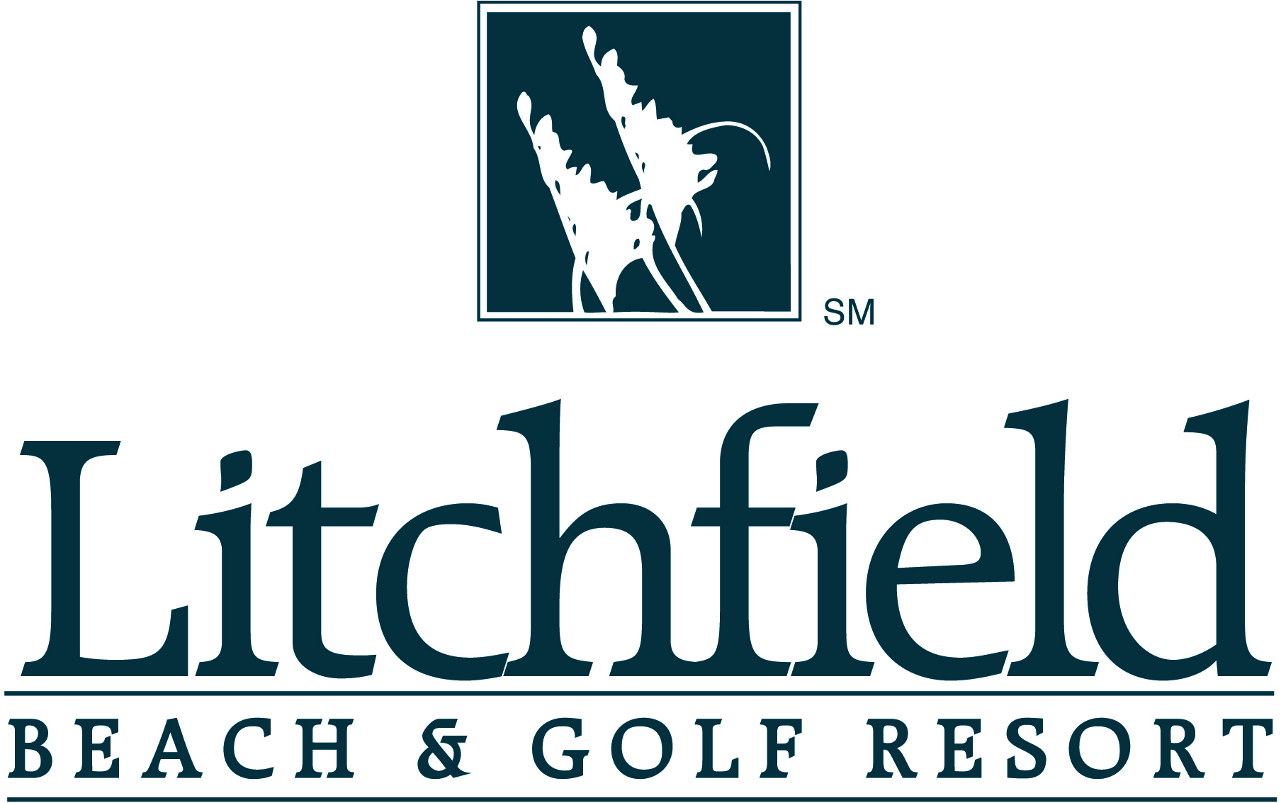 Litchfield Pawley's Island SC For Sale | James Schiller Team