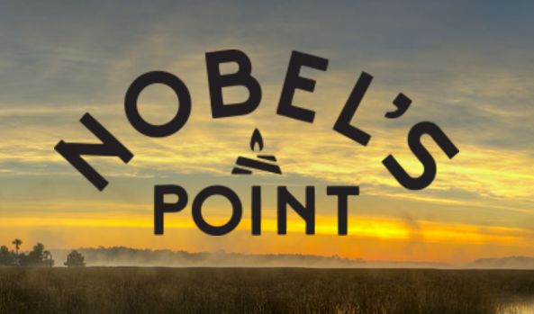 homes for sale nobels point daniel island