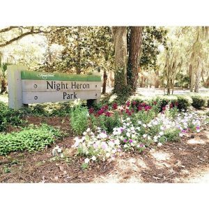 Night heron park kiawah island 