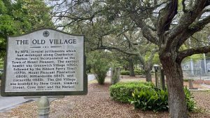 real estate listings Old Village Mt Pleasant SC