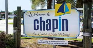realtor chapin sc listing agent